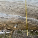 Downed Trees: Bayview, Middle Velma, PCT to Fontanillis