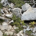 Rocks on Rubicon Trail