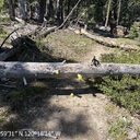 Rubicon Trail (Loon to Rockbound) - 5.15.2026