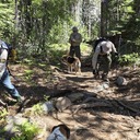 Glen Alpine to Grass Lake