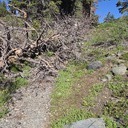 June 13th Glen Apline to mt. Tallac to catherial back to glen alpine