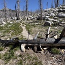 Lyons Creek trail 6/10/26