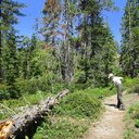 Loon Lake Trail- June 11, 2024 -