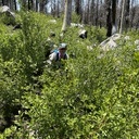 Lyons Trail- June 15, 2025… Mentoring
