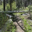 Red  Peak Trail, trail work:  June 6, 2026