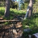 Lyons Creek:  Trailwork:  July 22, 2017