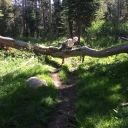 Lyon's Creek Log-out #3:  August 6, 2017