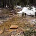 Lyon's Creek - another log-out  - June 5, 2018