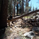 Red Peak Trail Log-out:  July 7-8, 2018