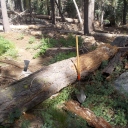 Red Peak Trail:  August 9, 2019
