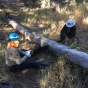 Highland Trail Log-out:  October 23rd, 2020