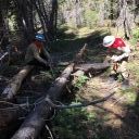 Highland Trail Log-out:  June 12, 2021