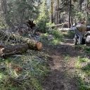Red Peak Trail:  September 12, 2023