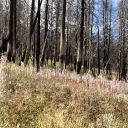 Lyon’s Creek Trail - September 29, 2023