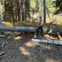 Highland Trail Log-out:  October 17, 2023