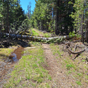 Red Peak Trail 5/9/26
