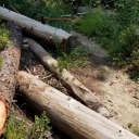 Red Peak trail logs 8-9-18
