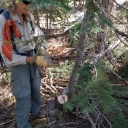 30Jul19_RedPeakTrail