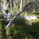 Red Peak Trail trees 6-20-22