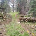 Highland Trail 5 July 22