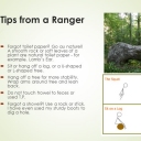 How to Poop 4