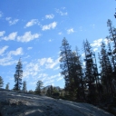 photo thumbnail