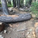 Gilmore 8-15-18