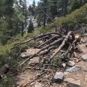 Bayiew - Cascade 05-31-19