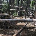 Glen Alpine 06-29-19
