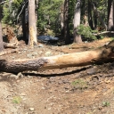 Glen Alpine 07-06-19