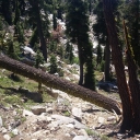 Grouse Lake Hike