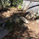 Twin Lakes trail to Smith 6/19/18