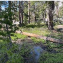 Willow Flat Trail—waterbar possibly needed