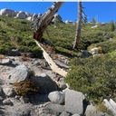 Tyler Trail conditions