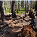 Rockbound Trail Issues