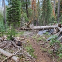 Genevieve Trail - 8/8/22