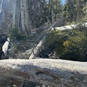 PCT from Echo Lakes