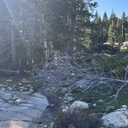 Glen Alpine Trail to Grass Lake