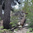 Grass, Aloha, Mosquito Pass, and More!
