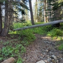 Half Moon Lake Trail